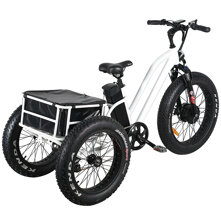 Strong Durable Throttle Type 24"*4.0 Inch Electric Fat Tire Trike