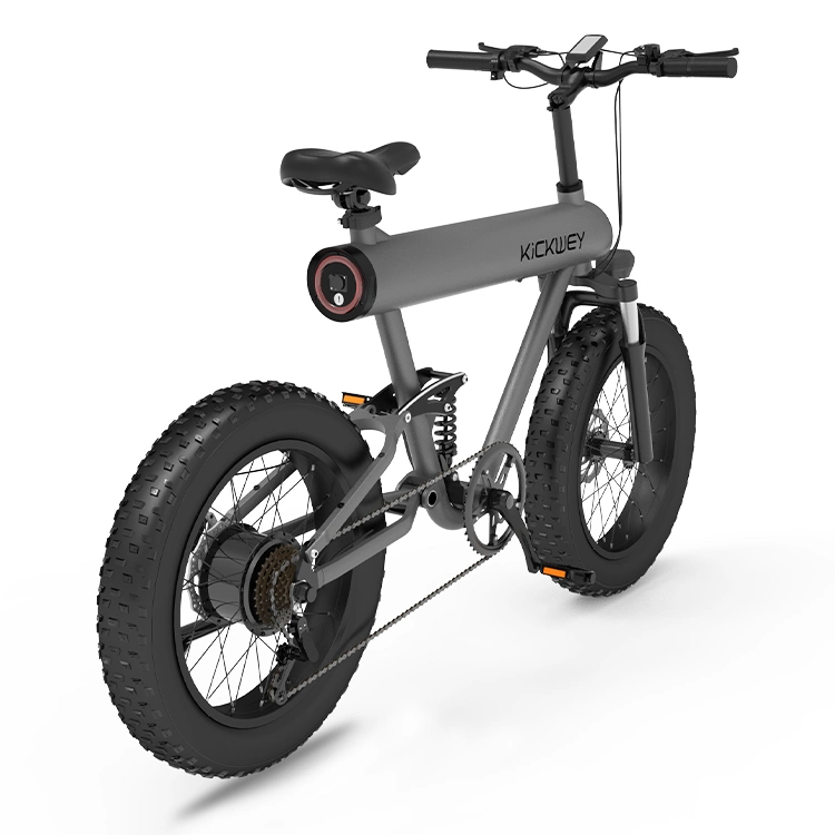 Portable Fat Tire 500W 48V Electric Moutain Bike for Adult