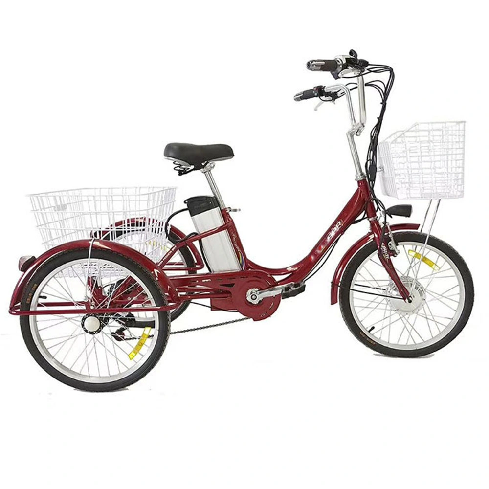 2021 Popualr Fat Tire E Trike Electric Tricycleelectric Trike Cargoztr Trike Electric Trike Electric Electric Trike Adult Electric Mop