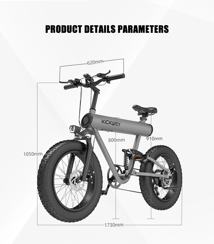 Fast Fat Tire off Road Electric Dirt Bike Mountain City Ebike