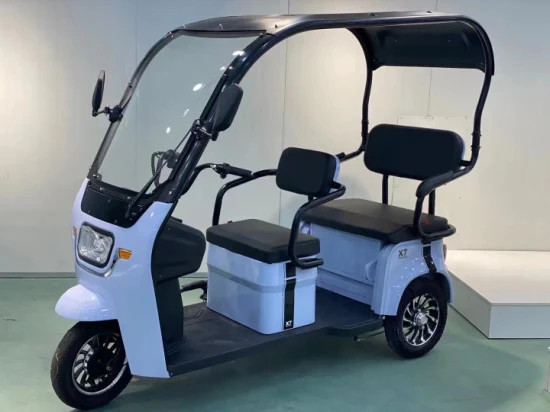 Cabanon intégré pour tricycle électrique avec essuie-glace pour voiture électrique récréative adulte