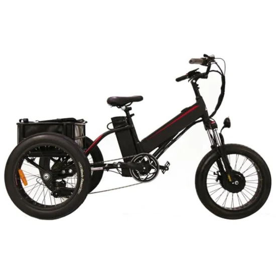 2021 Popualr Fat Tire E Trike Tricycle électrique Tricycle électrique Cargoztr Trike Tricycle électrique Tricycle électrique électrique Adulte Vadrouille électrique