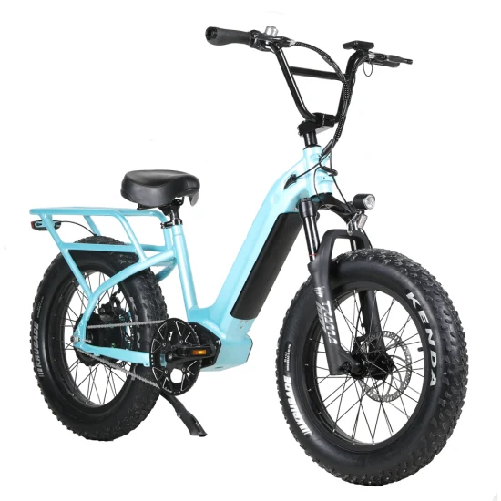 Nouveau Middle Drive 48V 26 pouces Mountain Electric Bike pour les hommes avec un bon prix