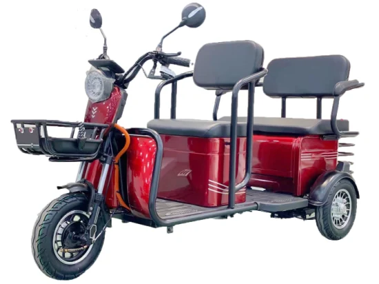 48V650W Mini tricycle électrique de passager de pousse-pousse électrique avec siège pliable