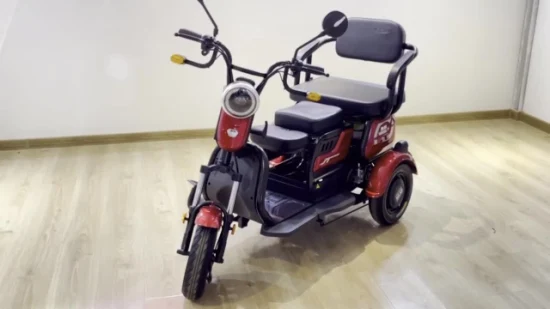 Saige Sièges pliables Grand coffre arrière pour femmes et enfants Tricycle électrique 48 V 500 W 25 km/h avec batterie au plomb 48 V 20 Ah