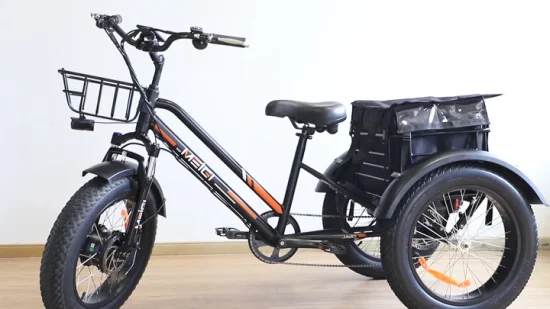 48V500W 48V10.4ah batterie au lithium avant/arrière frein à disque gros pneu tricycle électrique