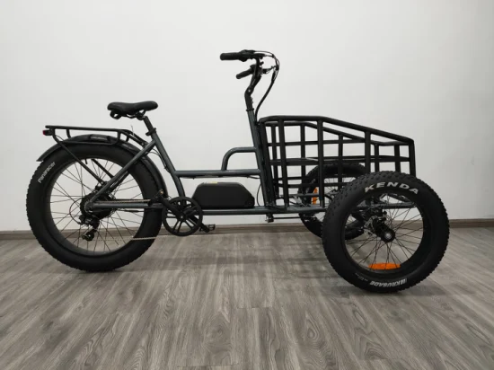 48V 10.4ah Batterie au lithium E Trike 500W Tricycle électrique Fat Tire Trike 3 Wheel Electric