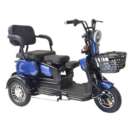 La Chine 3 roues tricycle électrique hors route pliable Trike Scooter handicapé à vendre