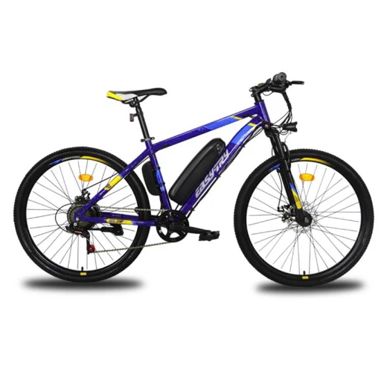 Hot haute qualité E-Cycle Chine fabricant personnalisé 10ah vélo électrique 36V/48V 250W/350W/500W Ebike