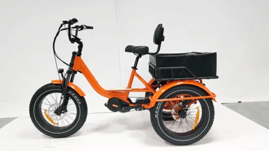 Adulte Chine Fat Tire Dual Lithium Electric Trike Cargo Turquie E Trike à vendre 20 pouces M400 MID Trike pliable électrique avec différentiel fort