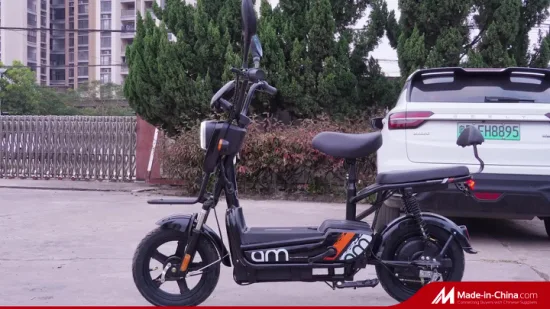 2022 Hot vendre nouveau modèle 14 pouces 48V 350watt vélo électrique