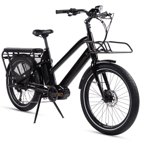 48V/23.2ah Lithium-Ion 4 - 6 heures de charge 750W Fat Tire 3 Wheel Cargo Tricycle électrique pliable